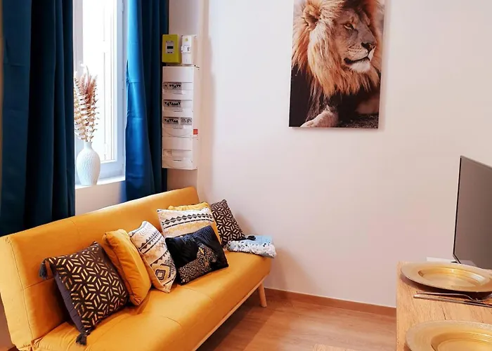 Apartmán Sadi Carnot - 1a Millau